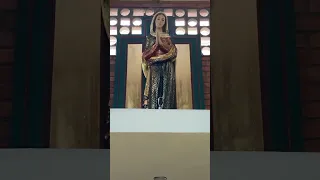 🙏Reza el Ángelus con Fe💖 Siente los Milagros y el Amor de la Virgen María😇🌹 #shorts #short #viral