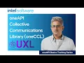 oneAPI Collective Communications Library oneCCL Intel Software
