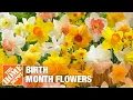 Birth Month Flowers The Home Depot