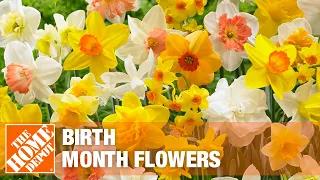 Birth Month Flowers The Home Depot