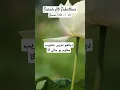 Download Lagu Surah Takathur | quran 102:1-8 | islam about greediness | #shorts #quran #قرآن #pureverse #verse