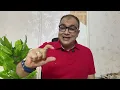 Download Lagu رد الاهلي على مهزلة البيان ووسام-الإعارة وبنود المرونة مع كولومبوس-رد ياابو ريدة-البديل يحدده ريبيرو