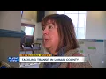 Study says Lorain County is underserved by public transit system