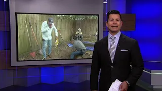 ABC13 Eyewitness News for Friday Nov 12