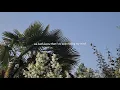 heylucas - Leave It Behind (feat. Dominic Donner) [Lyrics]