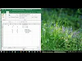 Linear Programing problems using Excel