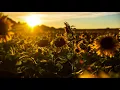 Ol’ Burger Beats - Immaculate (Instrumental)