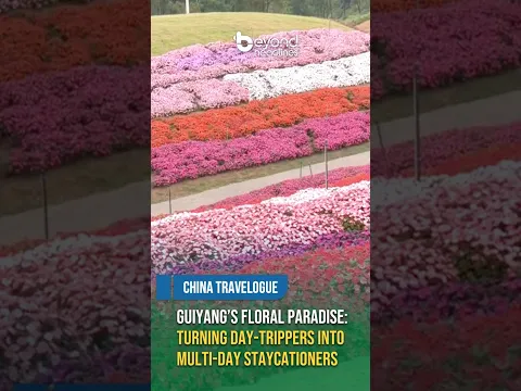 [China Travelogue] Guiyang’s Floral Paradise: Turning Day-Trippers into Multi-Day Staycationers