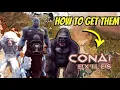 How to tame Frost Giant Yeti and Silverback Gorilla in Conan Exiles - 2025