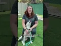 Sarasota shelter nearly full as dozens of pets need homes extended