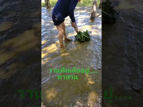 ทานลาน