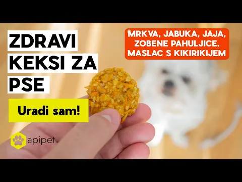 Kako napraviti zdrave kekse za tvog psa?