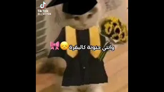 صديقتي العزيزه كيف لا احبك اشتراك جيش سينامورال ترند 