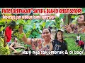 Lagu BEBERAPA JAM SEBELUM MB MAUL KONTRAKSI‼️PANEN PISANG,RANTI,KANGKUNG,CABE \u0026 GAMBAS HASILNYA DI BAGI\
