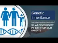What Genes Do We Inherit from Our Parents Genetic Inheritance Explained