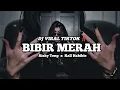 Download Lagu DJ VIRAL TIKTOK ‼️ BIBIR MERAH RIZKY TENG ( Kall Habibie Official )