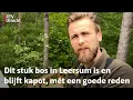 Lagu Na de valwind lag het bos in puin, en dat blijft dus zo | RTV Utrecht