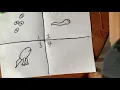 Make your own frog life cycle chart
