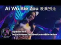 Download Lagu Ai Wo Bie Zou 爱我别走 Remix By Dj Brian Bie Hot Song Tiktok