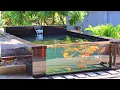 Download Lagu Aquarium Design 12m³(3170gallons) - simple practical, save