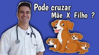 Pode cruzar Mãe com filho, irmão com irmão ?