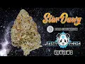 StarDawg Strain Review - BOLD Cultivation