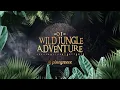 Jungle Adventure Music Playlist | Immersive Cinematic Music For Videos