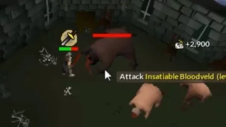Runescape 2007 Obtaining the Mist Bstaff on my Ironman I Live Reaction I Borrow Iron