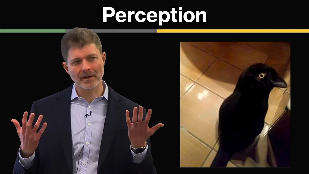 MIT 9.35 Perception, Spring 2024