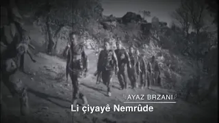 لي داي از كريلاما     حالات واتس اب كردي قومي    حالات واتس كردية قومية                       دندنها