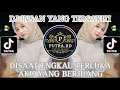 Download Lagu DJ DI SAAT ENGKAU TERLUKA AKU YANG BERJUANG | DJ INSAN YANG TERSAKITI | FULL BASS 2024