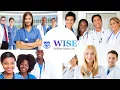 Wise Staffing Agency