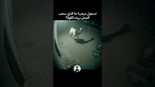 ما الذي سحب الجمل بهذه القوة                               دندنها