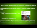 12 A4 1 Evolution and speciation