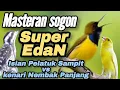 Download Lagu SUPER EDAN📍SOGON ISIAN KENARI NEMBAK PANJANG VS PELATUK SAMPIT#sogon #sogokontong
