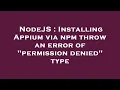 NodeJS Installing Appium via npm throw an error of permission denied type