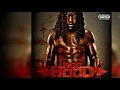 Ace Hood - Hustle Hard (432hz)