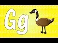 Letter G Song for Kids - Words that Start with G