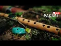 Download Lagu Pakari - Enchanting Sounds of the Andes🌽🌱