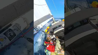 Our Sailing Hack #sailing