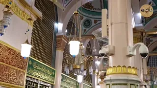 سلام الله يا طه   ياسمين الخيام دندنها