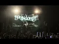 Boundaries - Malconscience Skies Cast Amber Black HARTFORD 26