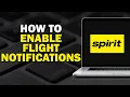 How To Enable Flight Notifications On Spirit Airlines Quick Tutorial