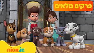 מפרץ ההרפתקאות 🐾: פרקים מלאים ברצף! | 178 דקות | ניק ג'וניור