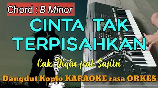 Download CINTA TAK TERPISAHKAN - Cak Diqin feat Safitri Versi Dangdut Koplo KARAOKE rasa ORKES MP3