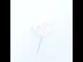 Ephemeral Beauty