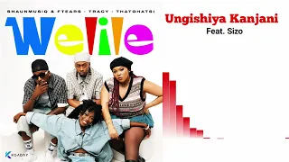 shaunmusiq u0026 ftears tracy u0026 thatohatsi ungishiya kanjani official lyric video feat sizo