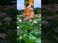 Kamal Kamal par Madhukar Bole Shri Krishna Sharanam Mamah #subscribe me