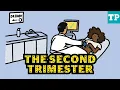 Lagu What to expect in your Second Trimester of pregnancy | Pregnancy Week-by-Week