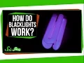 How Do Blacklights Make Things Glow